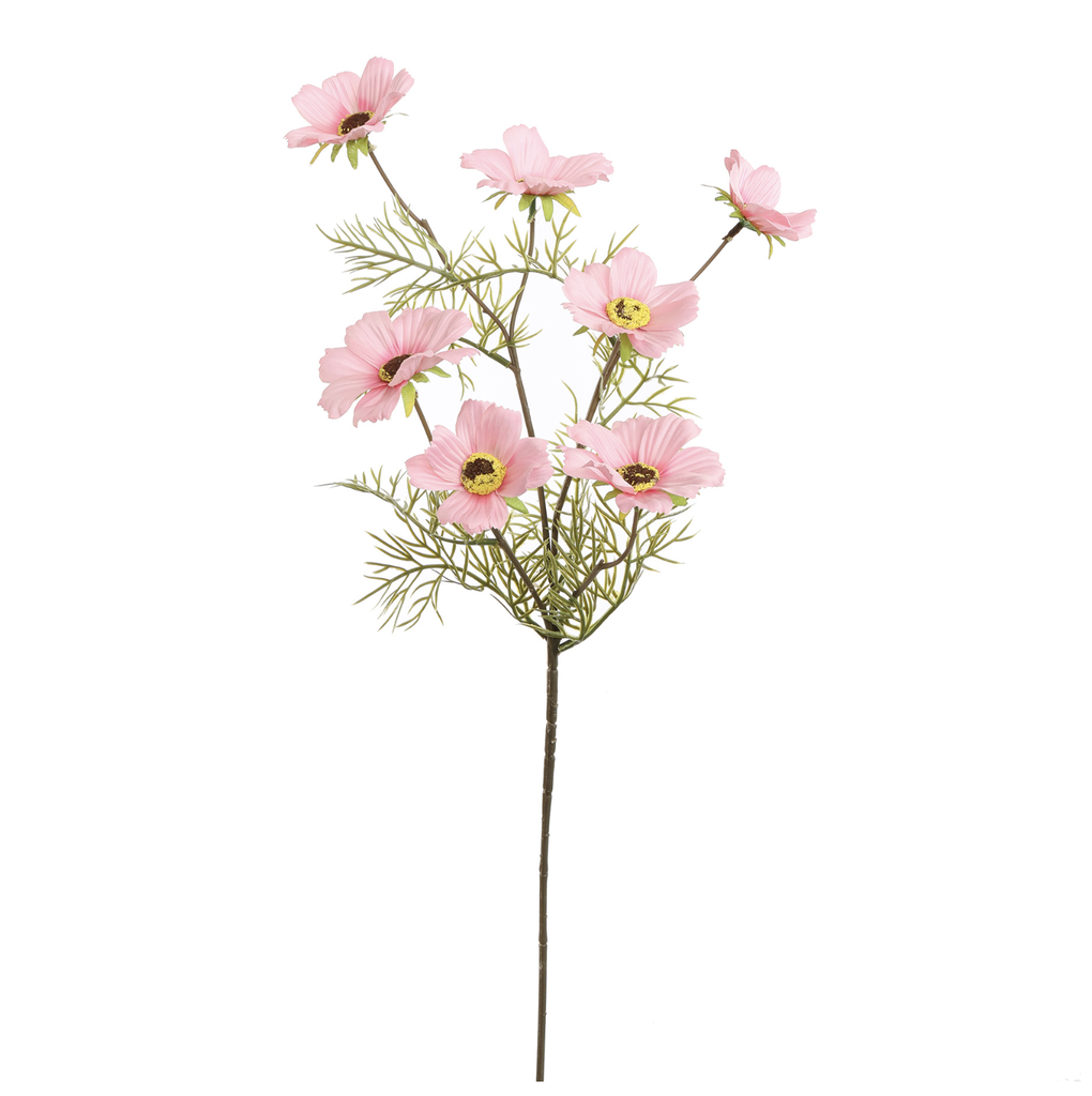 Jasaco | Sierbloem Cosmos Spray Pink 75cm 