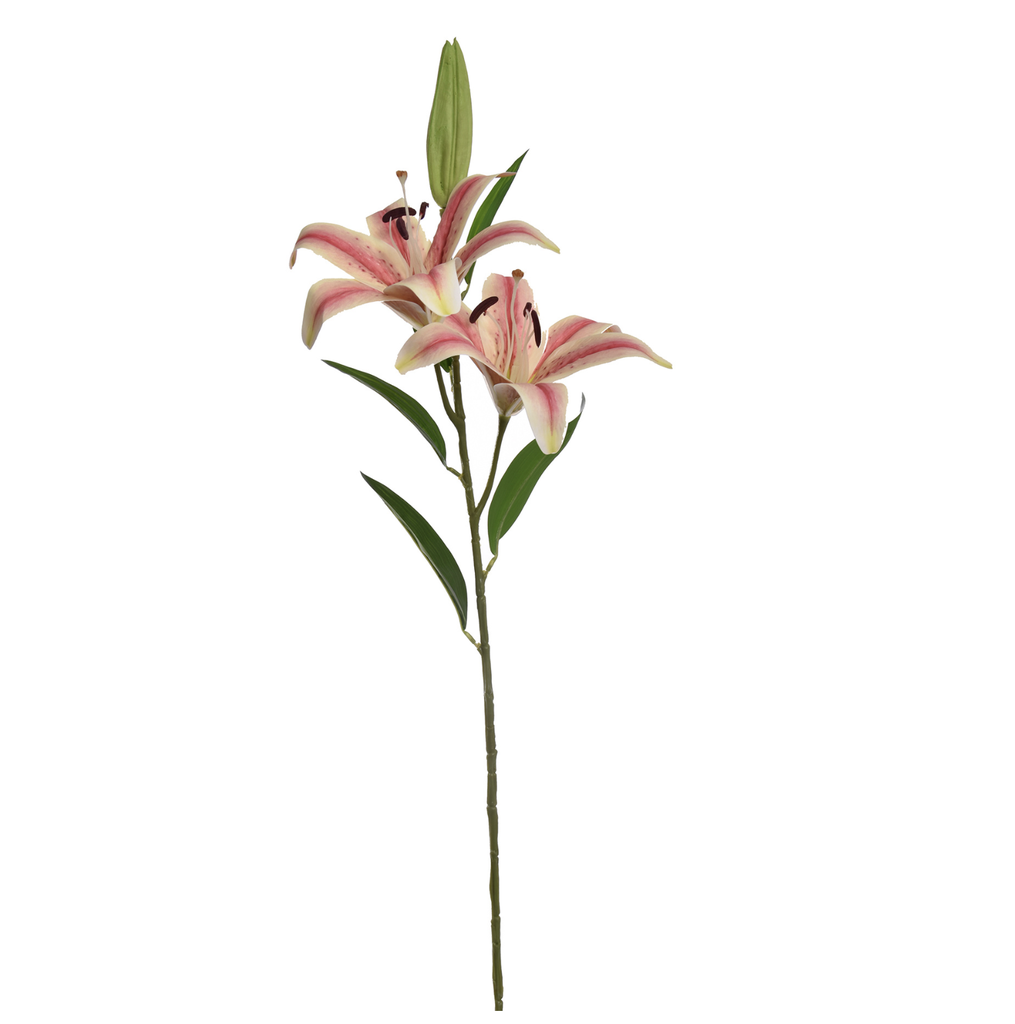 Jasaco |  LARGE LILY X2 87CM CREAM PINK
