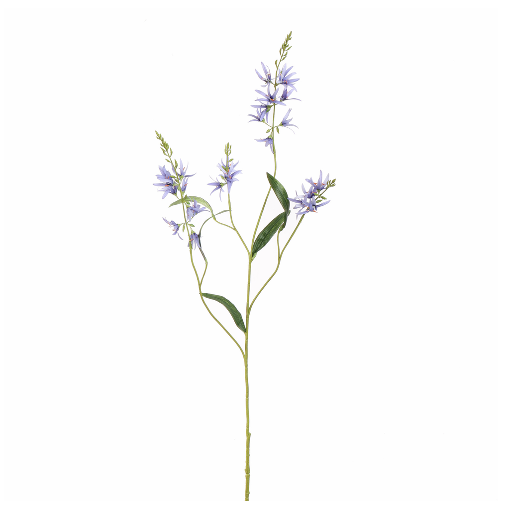 Jasaco | Sierbloem Camassia Blue 101cm