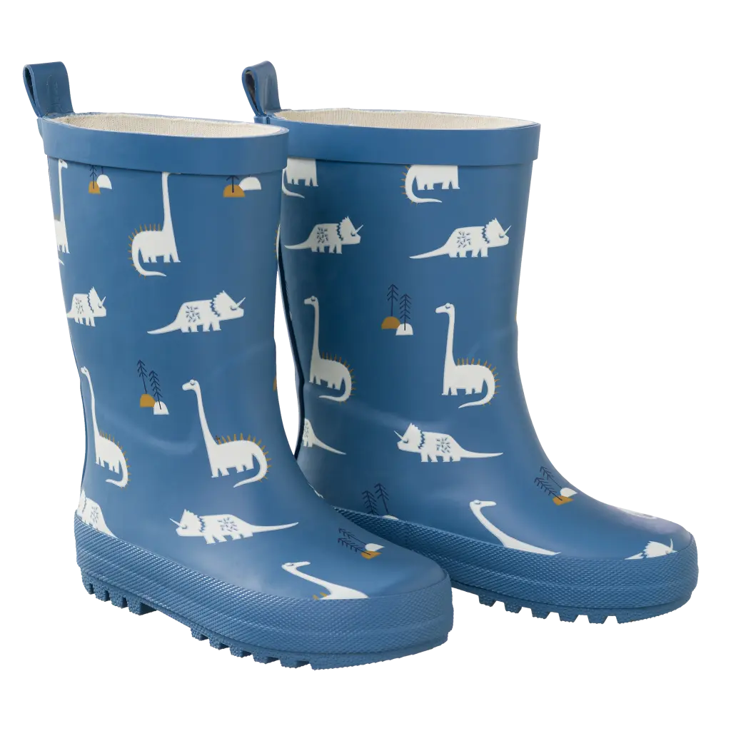 Fresk | Schoenen Rainboots Dino 