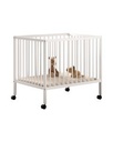 Vipack | Park Dino Wit 75x95cm