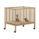 Vipack | Park Dino Natuur 75x95cm