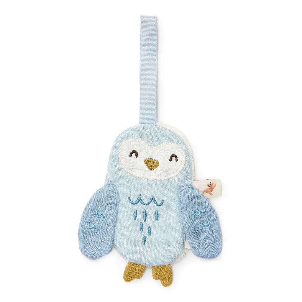 Little Dutch | Fopspeendoekje Forest Friends Uil 