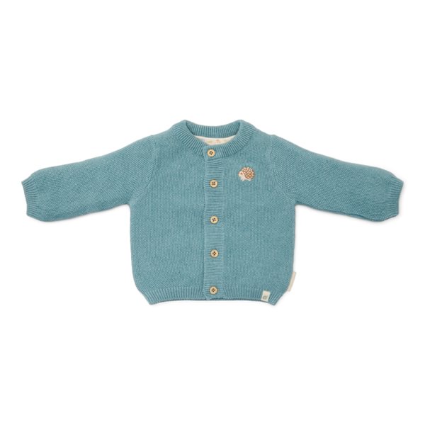 Little Dutch | Gilet Boys Baby Blue