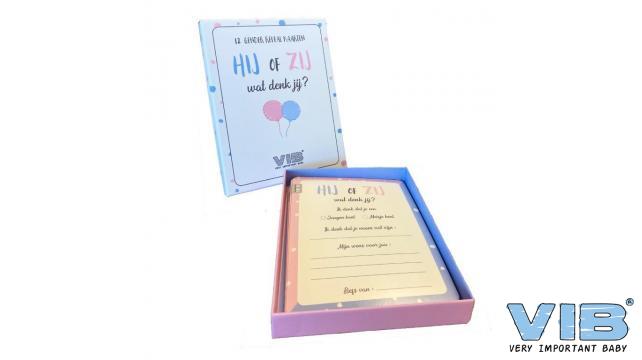 VIB | Voorspellingskaarten Gender Reveal Hij of Zij Invul-en Bewaarbaar 120x160mm 12-pack 