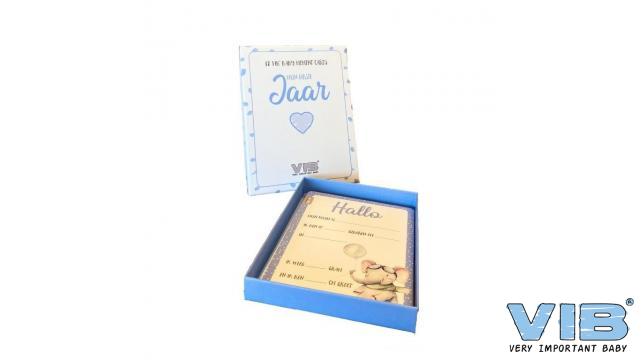 VIB | Mijlpaalkaarten Baby Moments Mijn Eerste Jaar Boy 120x160mm 
