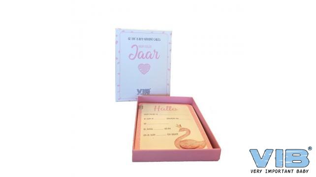 VIB | Mijlpaalkaarten Baby Moments Mijn Eerste Jaar Girl120x160mm