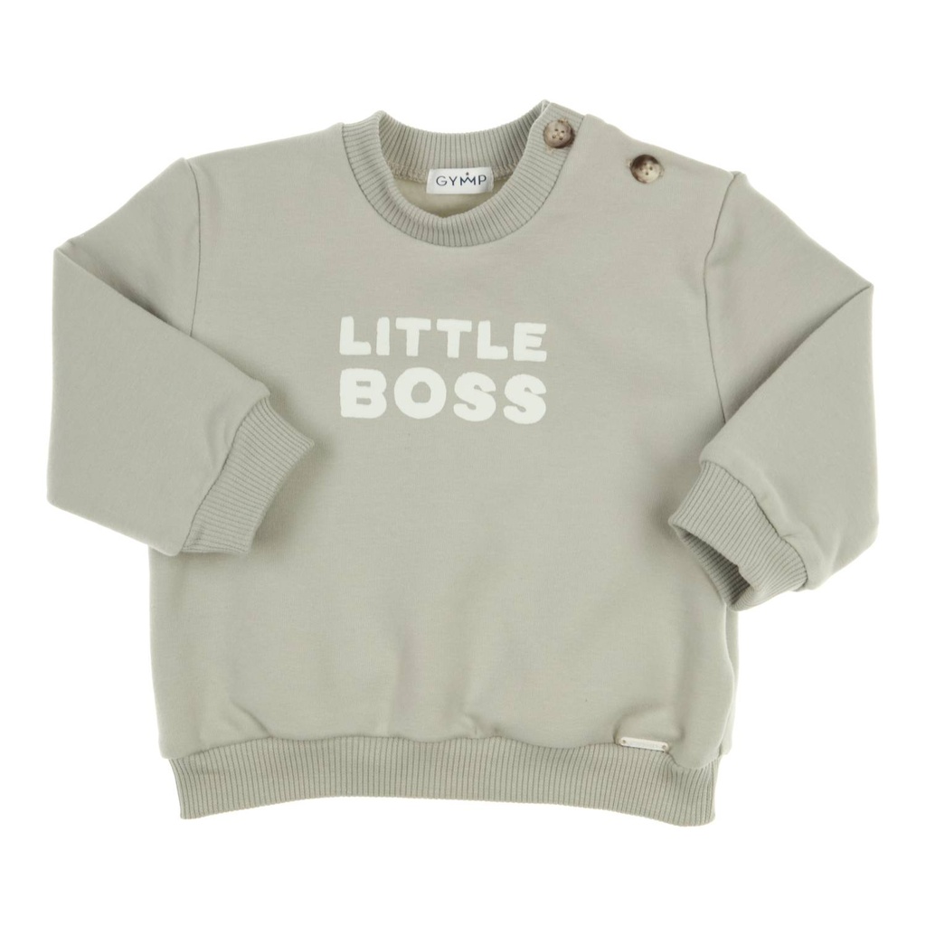 Gymp | Pull Boys Sweater Carbondoux Pale Green