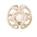 Nattou | Bal Silicon Klei/Wit Set 2-pack