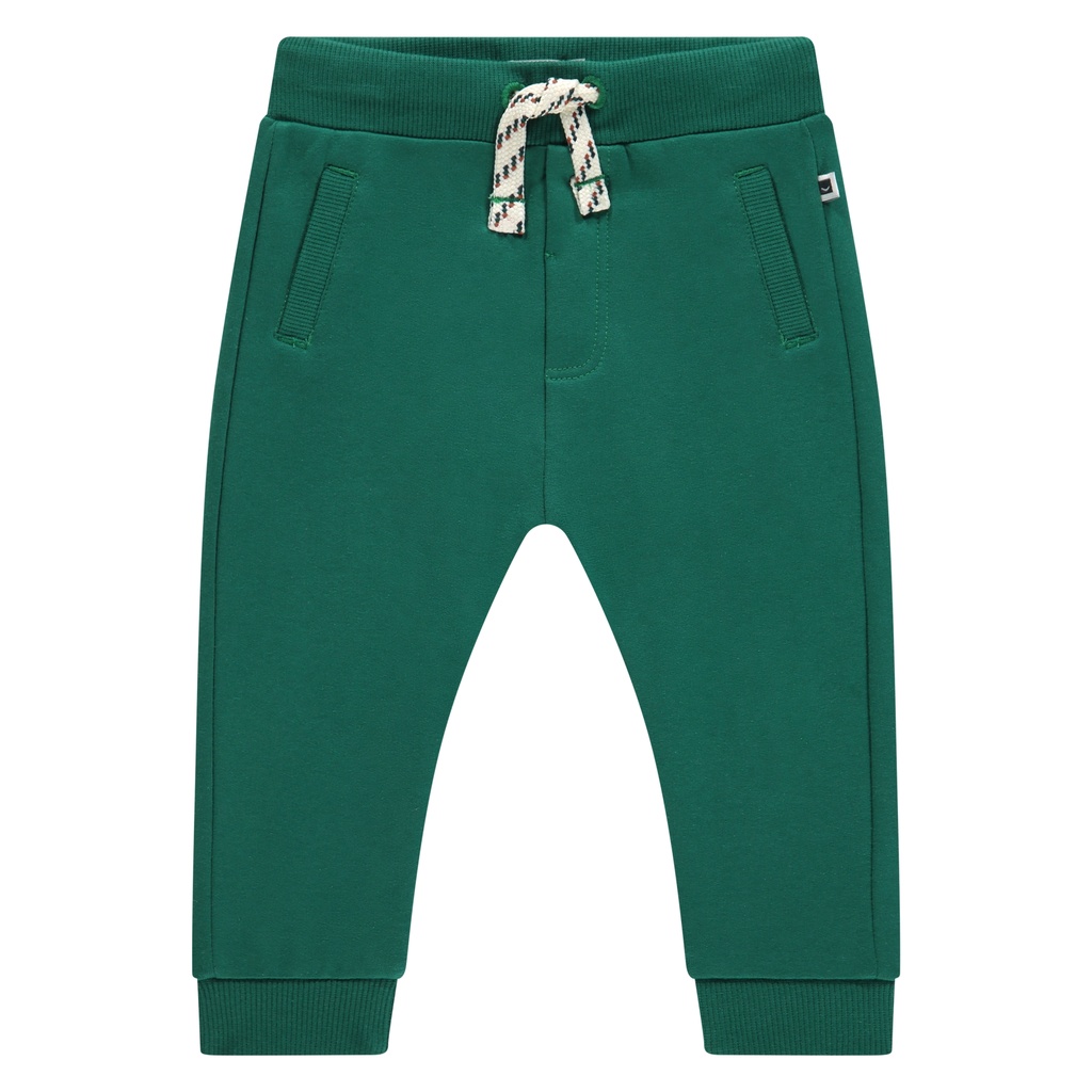 Babyface | Broek Boys Baby Sweatpants Turtle