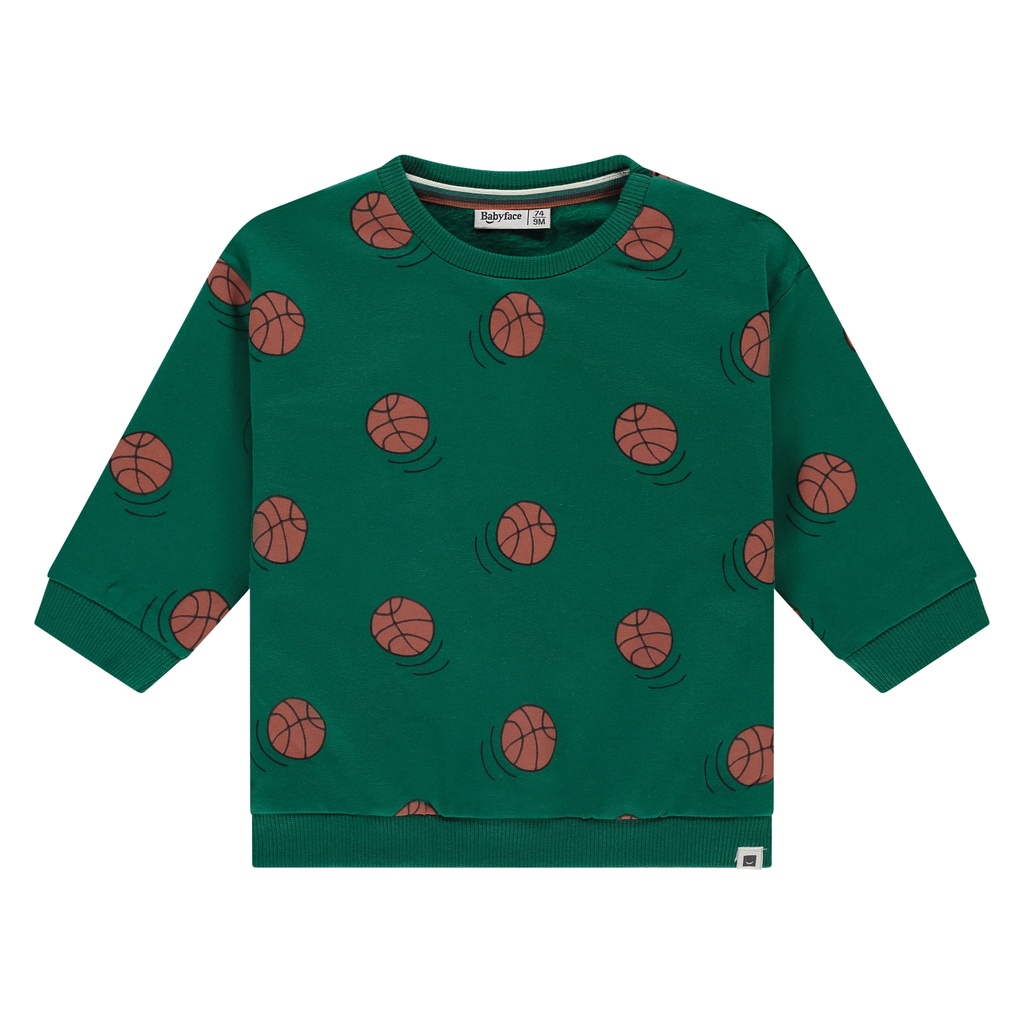 Babyface | Pull Boys Baby Sweatshirt Turtle