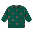 Babyface | Pull Boys Baby Sweatshirt Turtle