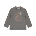 Dirkje | T-shirt Boys Safari Friends T-shirt Longsleeve Grey
