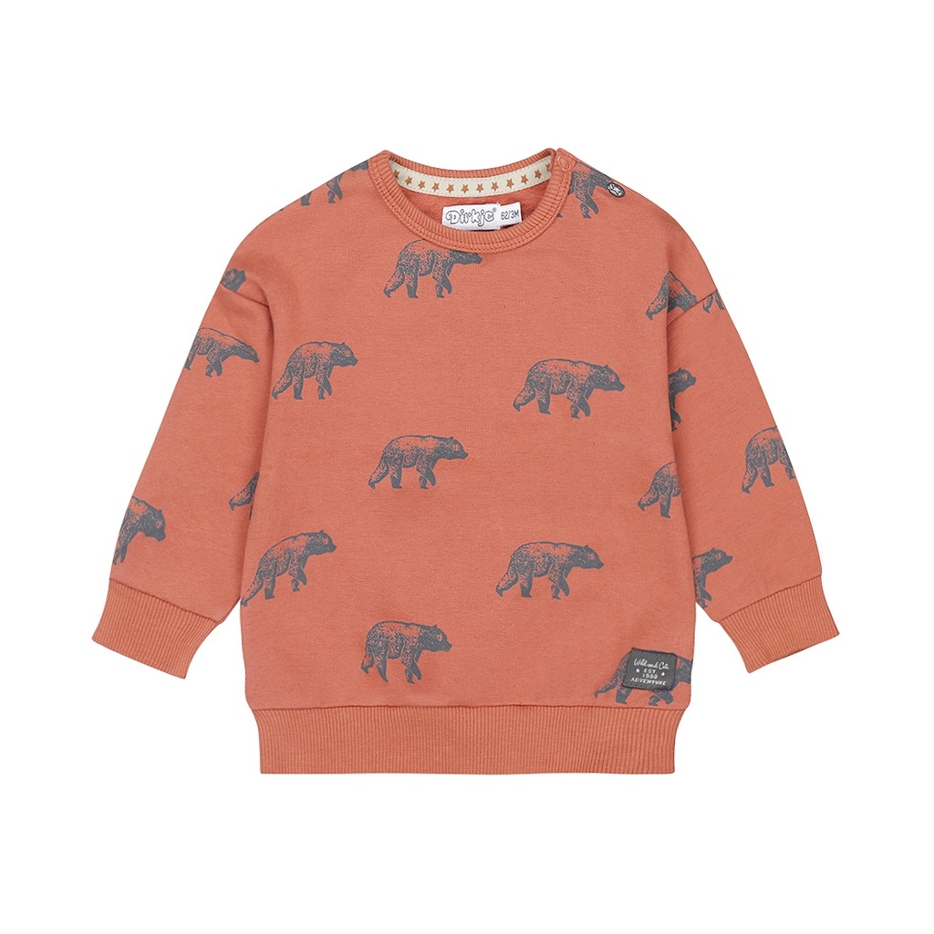 Dirkje | Pull Boys Wildland Sweater With Crew Neck Rust