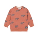 Dirkje | Pull Boys Frosty Friends Sweater With Crew Neck Rust
