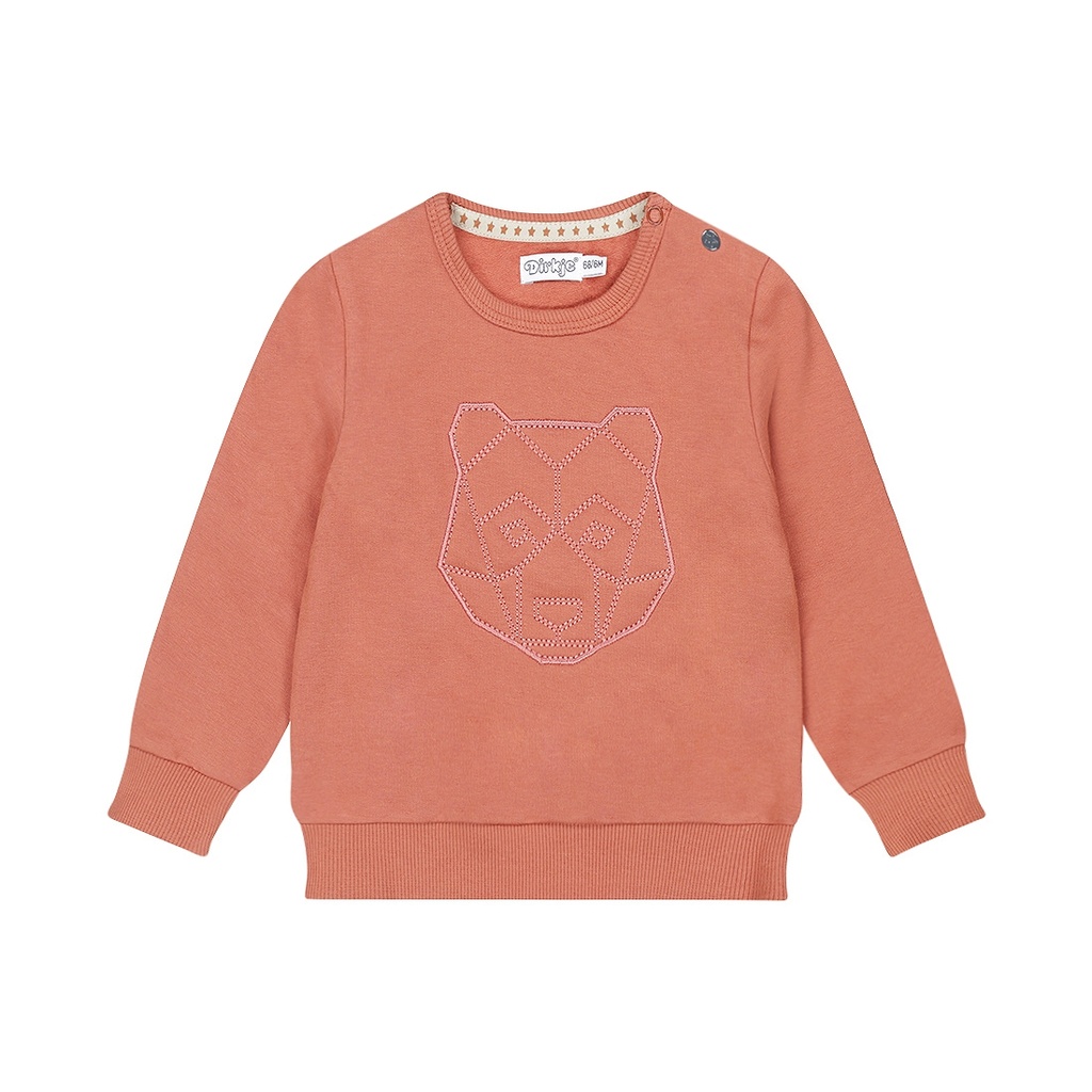 Dirkje | Pull Boys Wildland Sweater Rust