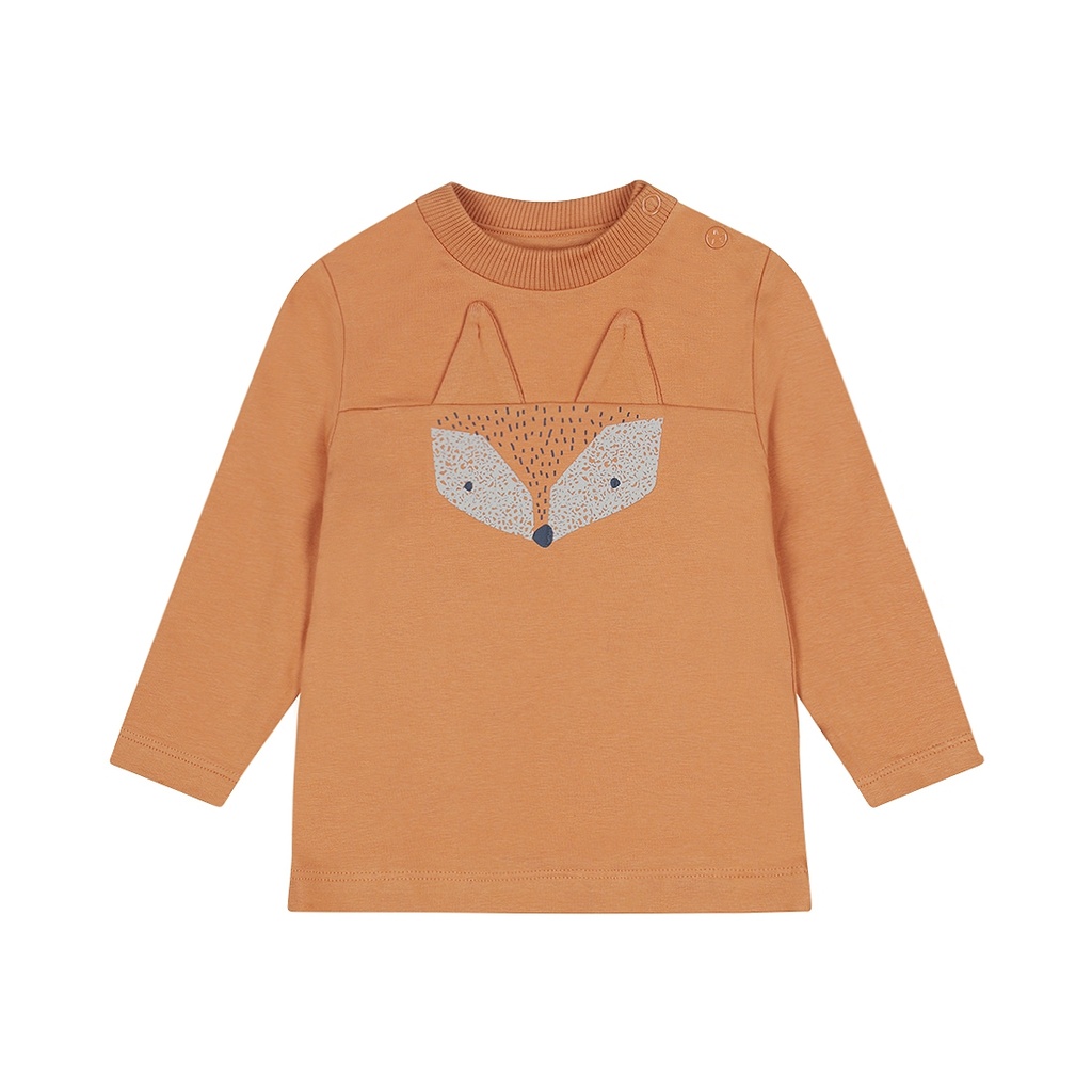 Dirkje | T-shirt Boys Woodland T-shirt Longsleeve Faded Cognac