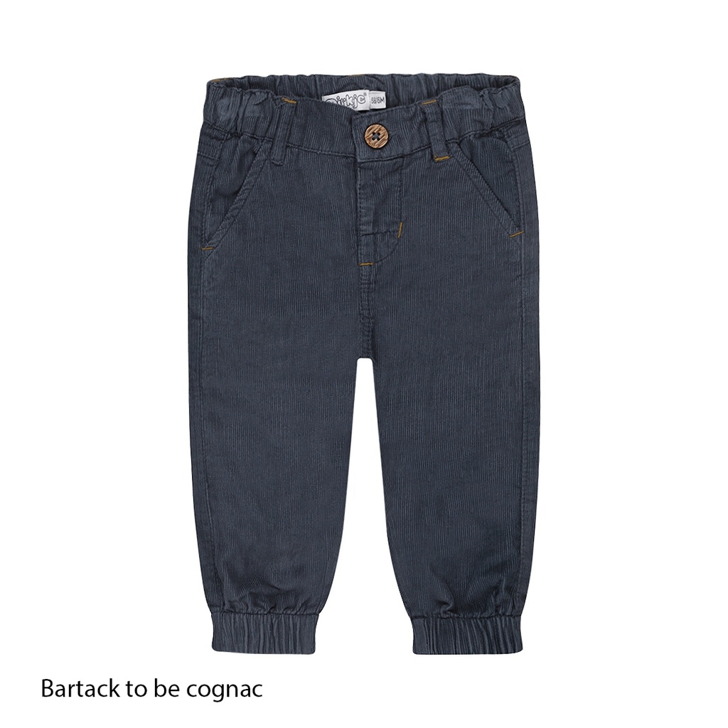 Dirkje | Broek Boys Woodland Trousers Navy