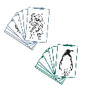 Kidywolf | Navulling Kidydraw Mini Dieren Van Over de Hele Wereld en Oceanen & Piraten