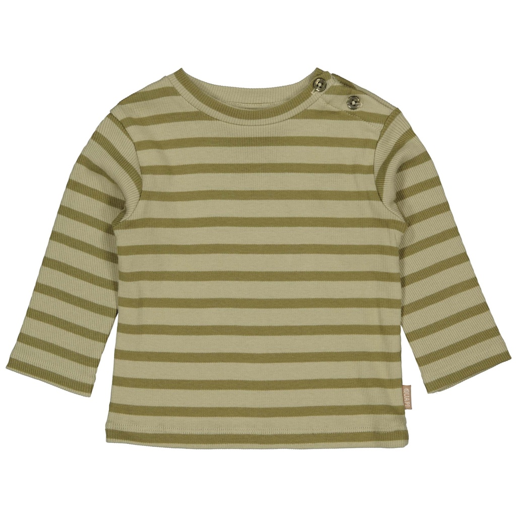 Quapi | T-shirt Boys Kayden Dark Green Stripe