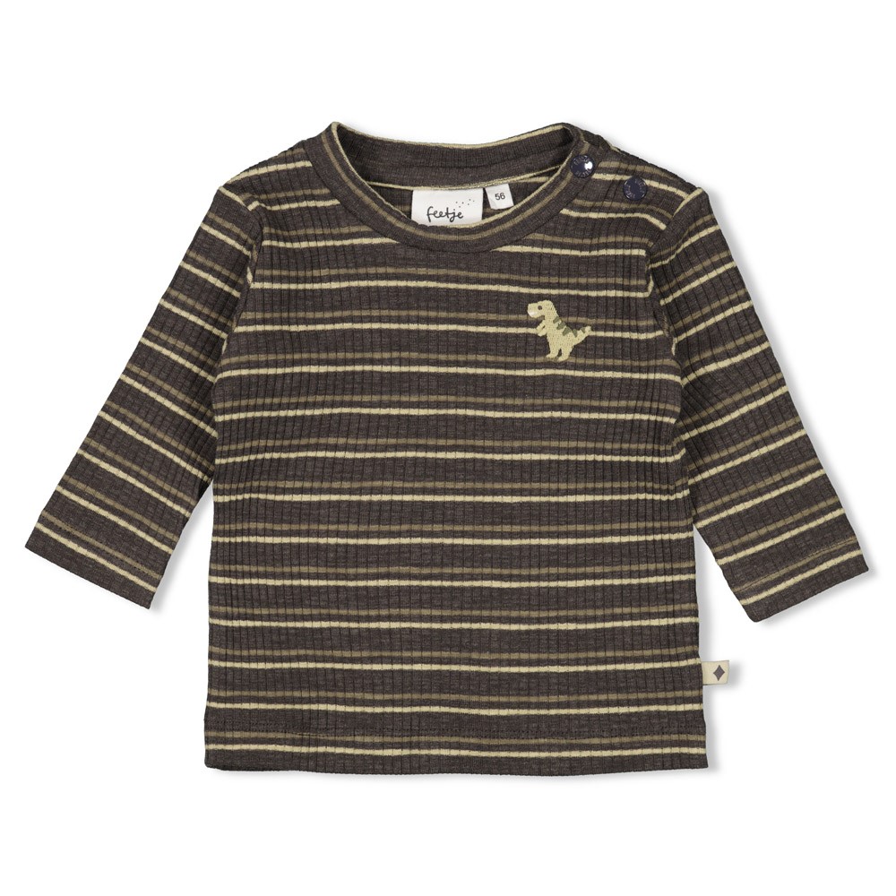 Feetje | T-shirt Rawrsome Longsleeve Stripes Antraciet Melange