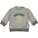 Bess | Pull Boys Harvard Grey Melange