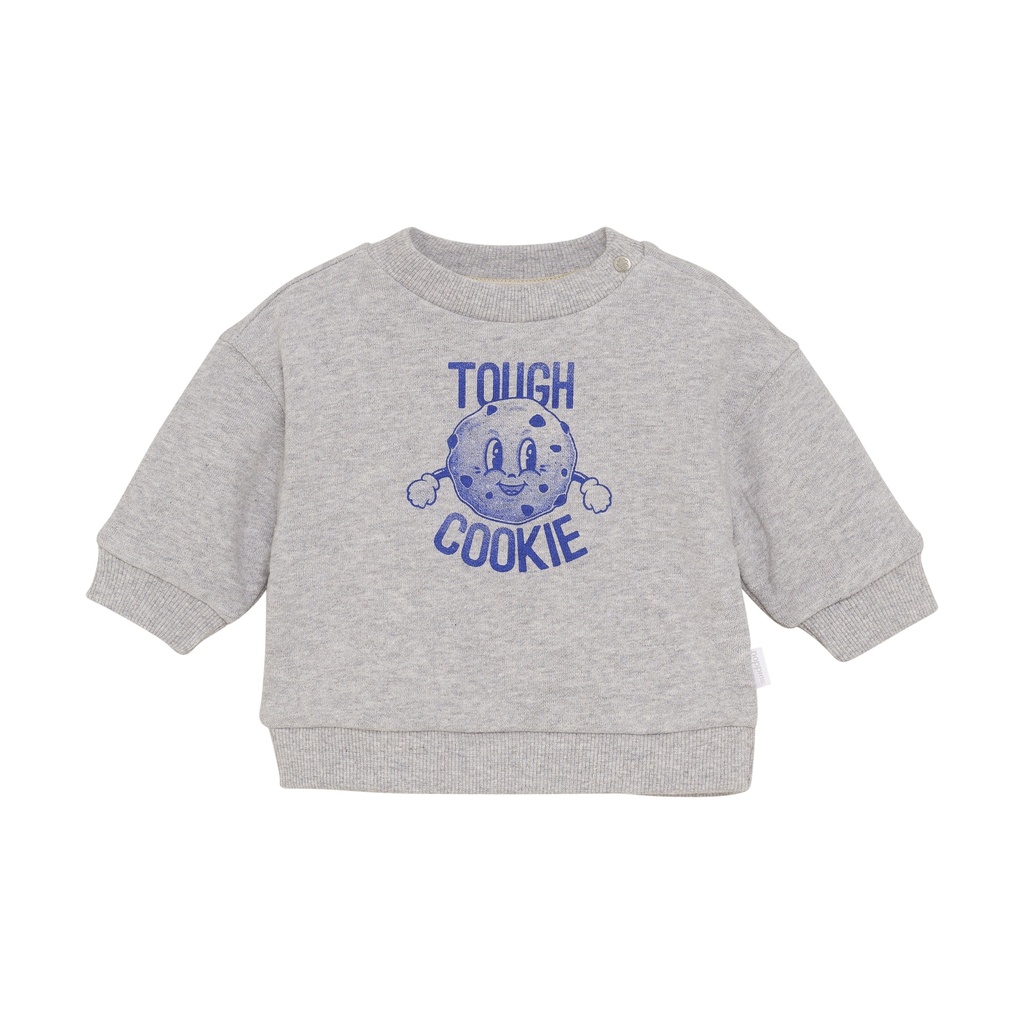 Noppies | Pull Boys Sardesi Grey Melange