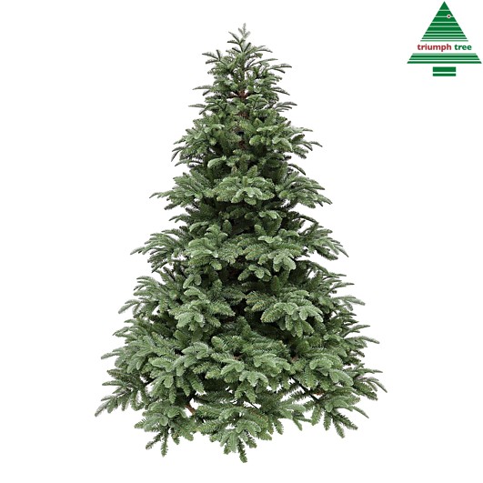 Triumph Tree | Kerstboom Arlington Groen 230 x Ø173cm 