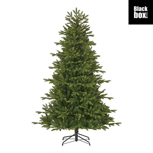 Black Box | Delmonto Groen 230 x Ø140cm 