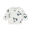 Noppies | Pull Boys Sheldon Vehicle Grey/Green