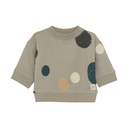 Noppies | Pull Boys Snowflake Abstract 