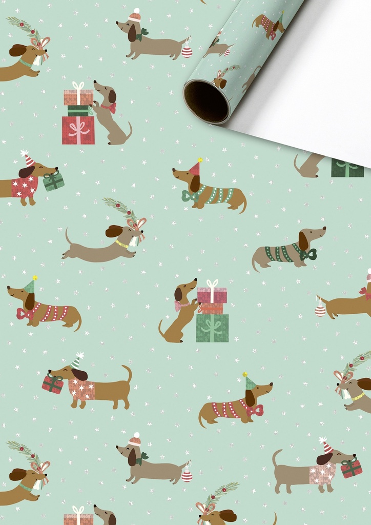 Stewo | Geschenkpapier Rol Bo Mint 70x150cm