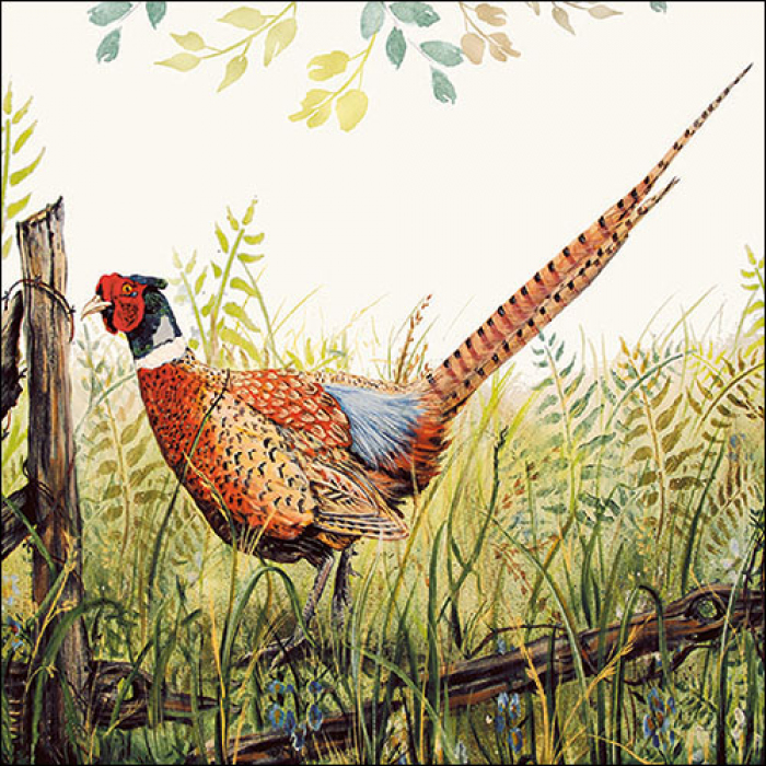 Ambiente | Servetten Glorious Pheasant 3-laags 100%FSC 33x33cm 20-pack