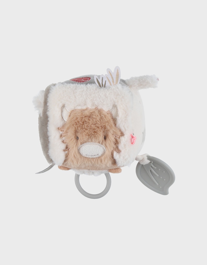 Noukies | Activiteitenkubus Fluffy, Orso & Lilly