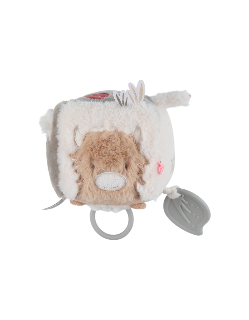 Noukies | Activiteitenkubus Fluffy, Orso & Lilly