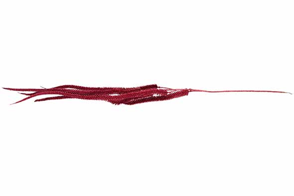 Cosy & Trendy | Siertak Cat Tails Rood H140cm