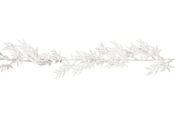 Cosy & Trendy | SLINGER LEAVES GLITTER WIT H150CM KUNSTS