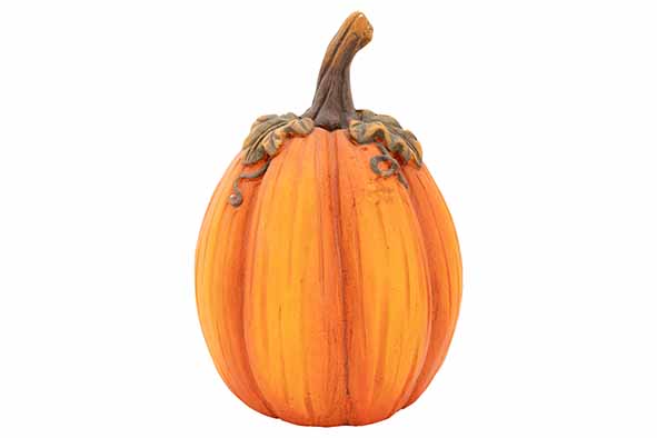 Cosy & Trendy | POMPOEN ORANJE 20X20XH29CM MAGNESIUM