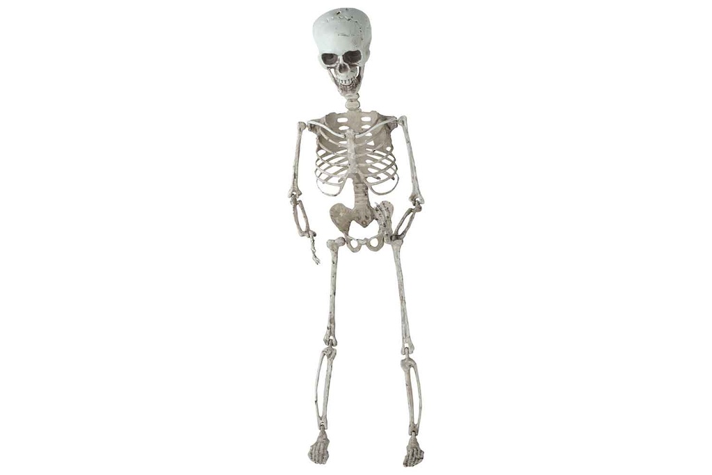 Cosy & Trendy | Figuur Skelet Hangend H70cm