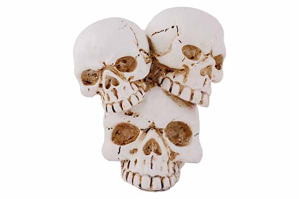 Cosy & Trendy | Figuur Doodskop Natuur H11cm