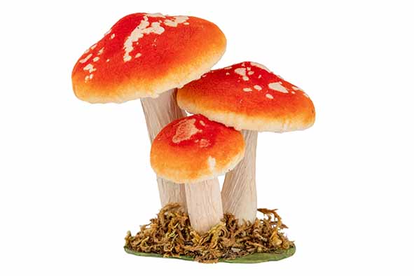 Cosy & Trendy | PADDENSTOELEN ORANJE 12X8,5XH12CM FLUWEE