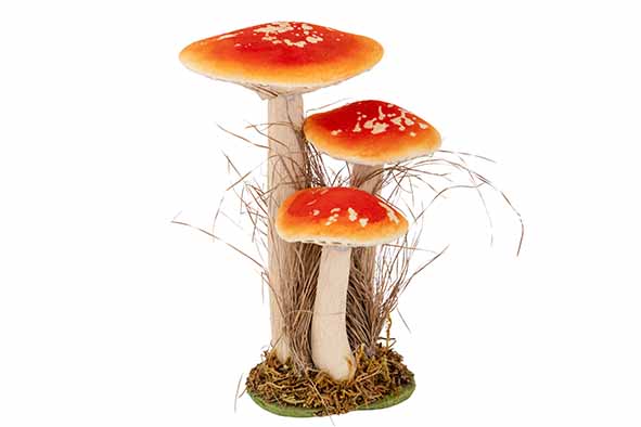 Cosy & Trendy | PADDENSTOELEN ORANJE 18X13,5XH26CM FLUWE