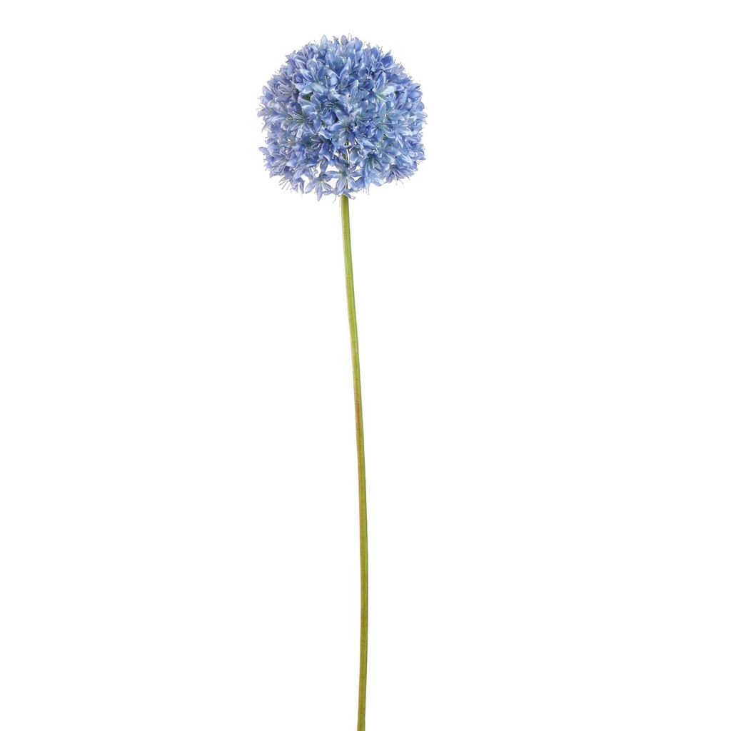 Jasaco |  ALLIUM FLOWER 89CM BLUE