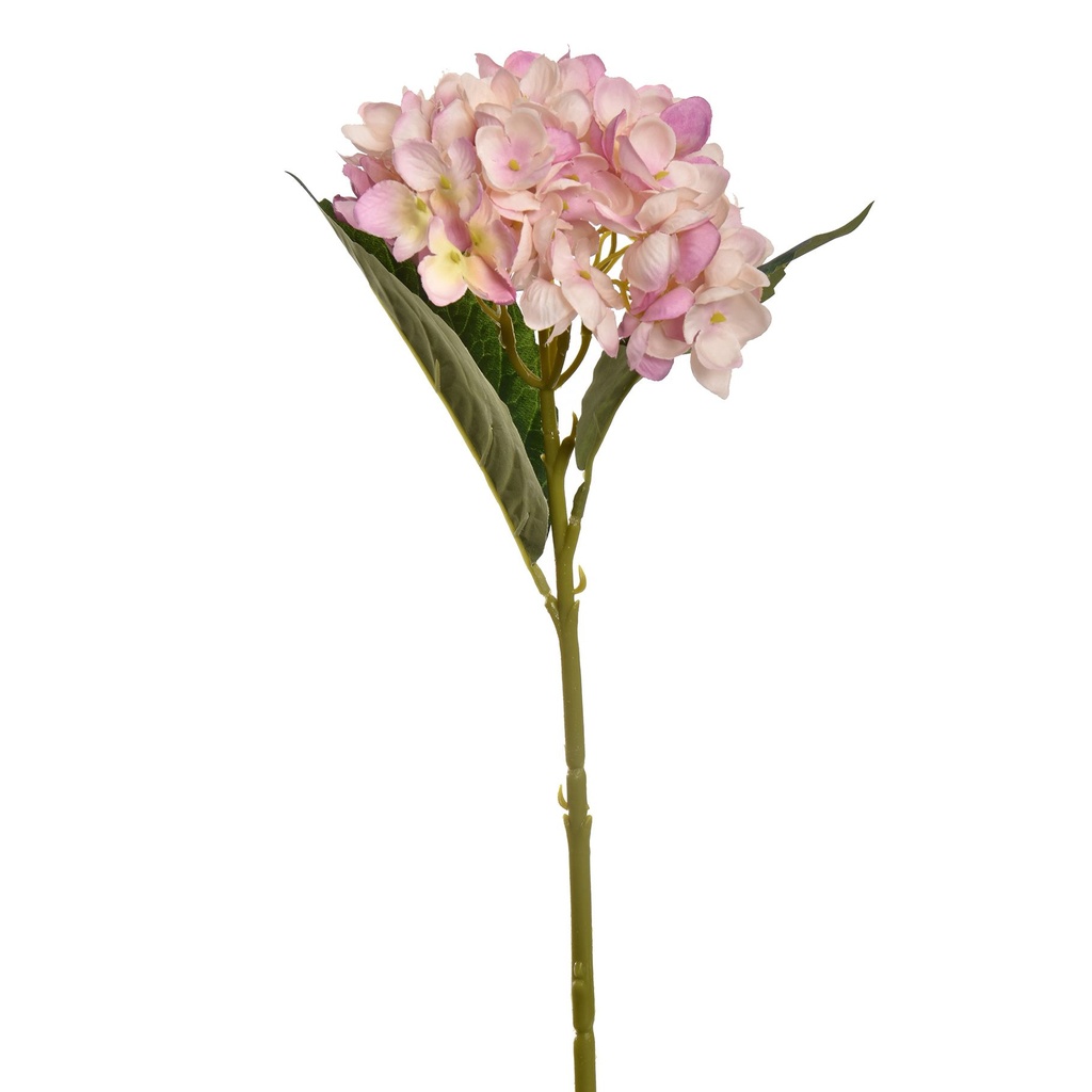 Jasaco | Sierbloem Hydrangea Old Pink 45cm 