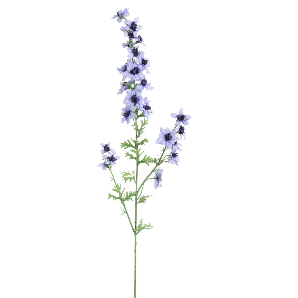 Jasaco |  DELPHINIUM 95CM TWO TONE BLUE