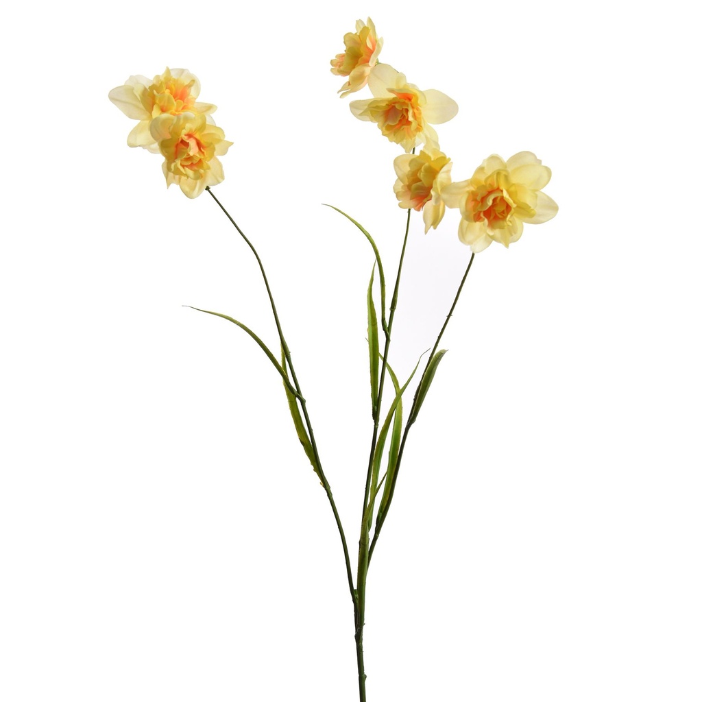 Jasaco | Sierbloem Single Narcissus Yellow 59cm
