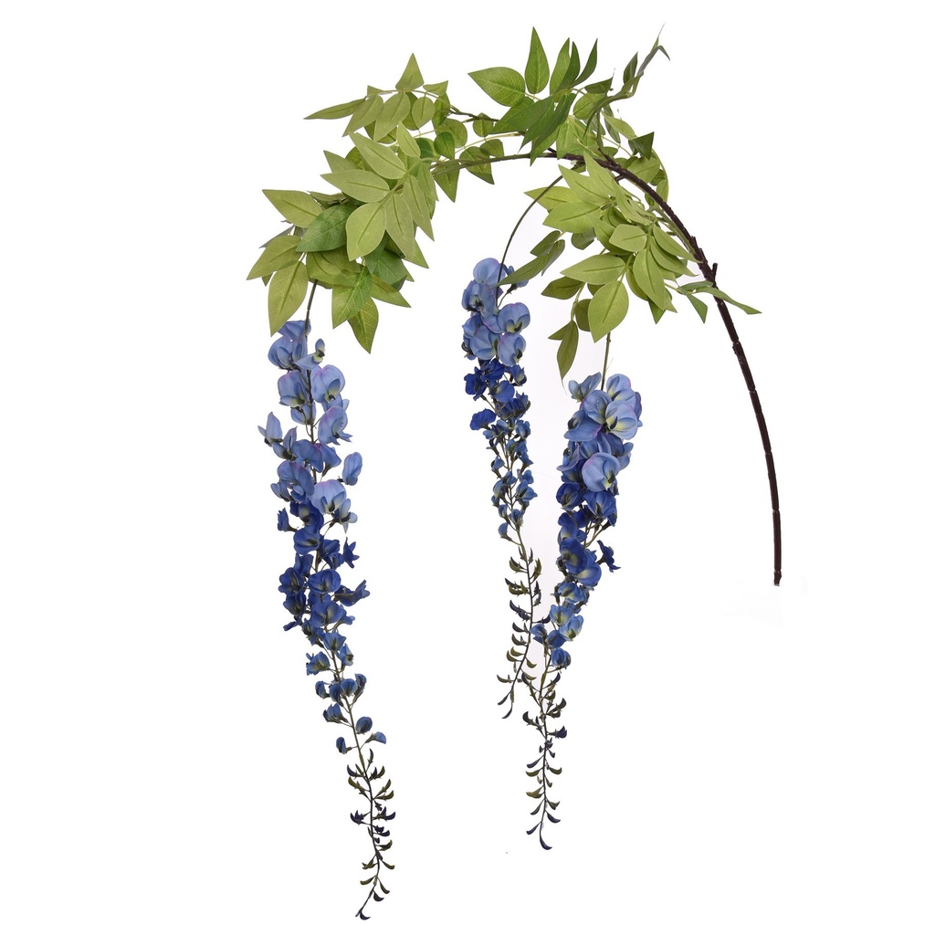 Jasaco |  GIANT WISTERIA 170CM BLUE