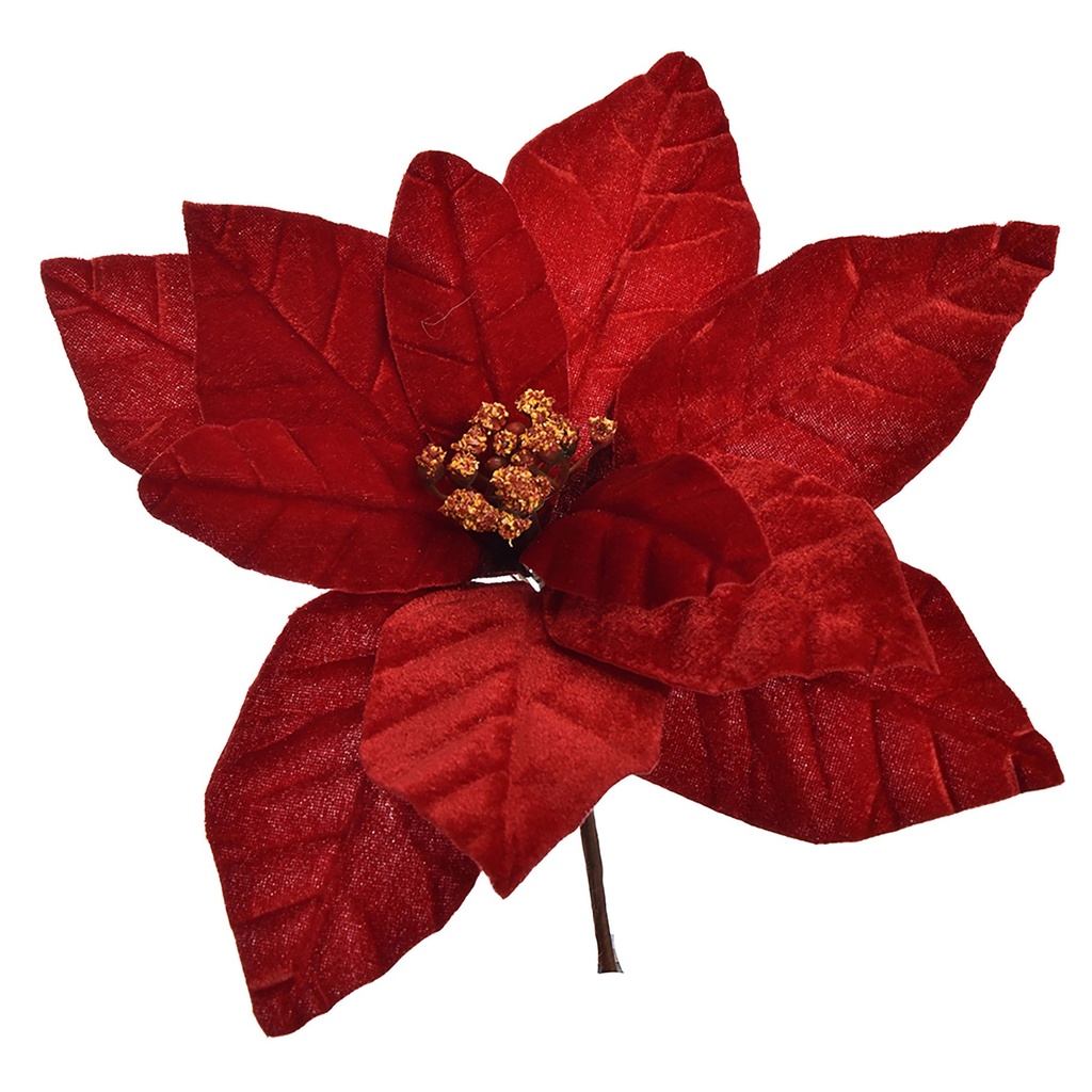 Jasaco |  VELVET POINSETTIA D27 H18CM RED