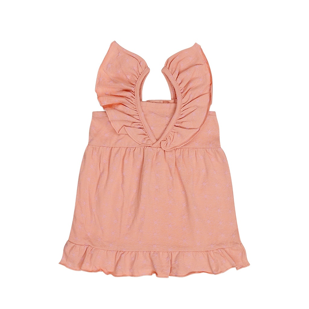 Dirkje | Jurk Girls Ladybug Light Pink