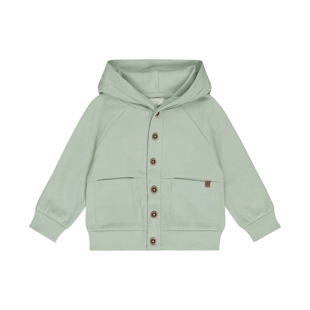 Dirkje | Vest Boys Santa Monica Soft Sage